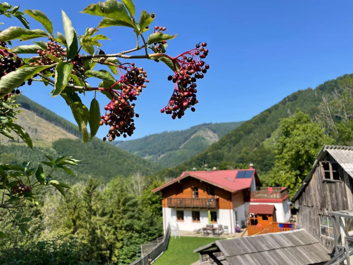 Buechlhof - App. Breitenstein Lilienfeld Luaran gambar