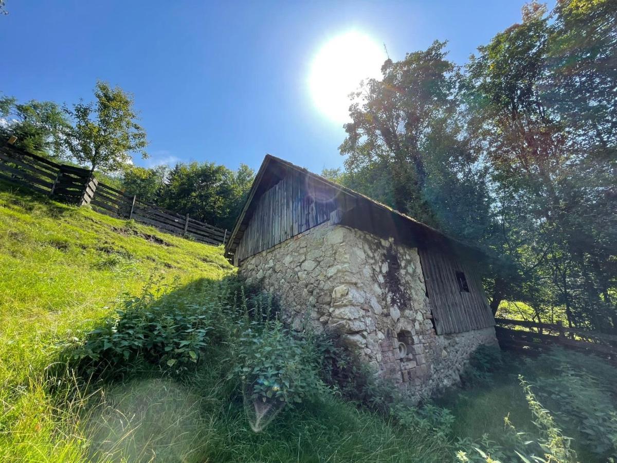 Buechlhof - App. Breitenstein Lilienfeld Luaran gambar